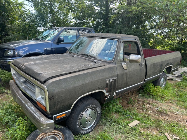 1989 Dodge W series's photo