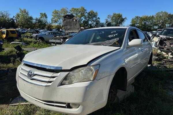 IMG_8220 (1) IMG_8220 (1)