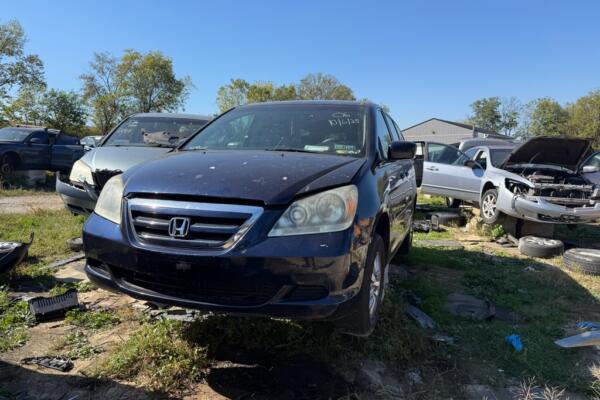 IMG_4162 (1) IMG_4162 (1)