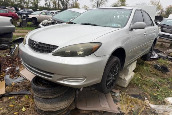 IMG_4424 (1) IMG_4424 (1)