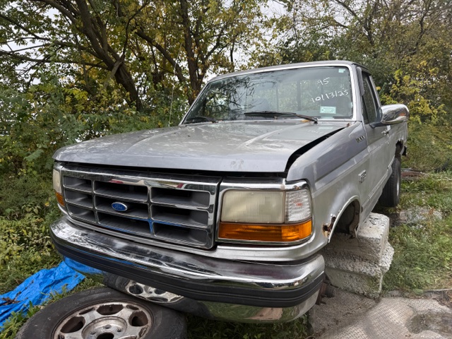 1995 Ford F-150's photo