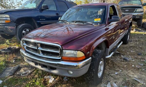 IMG_5110 (1) IMG_5110 (1)