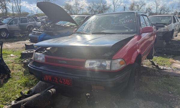 IMG_5141 (1) IMG_5141 (1)