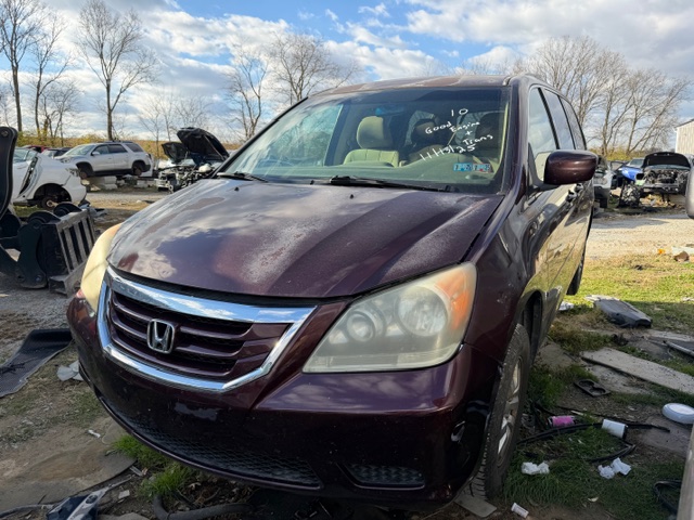 2010 Honda Odyssey EX's photo