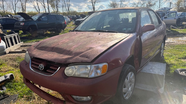 2001 Toyota Corolla's photo
