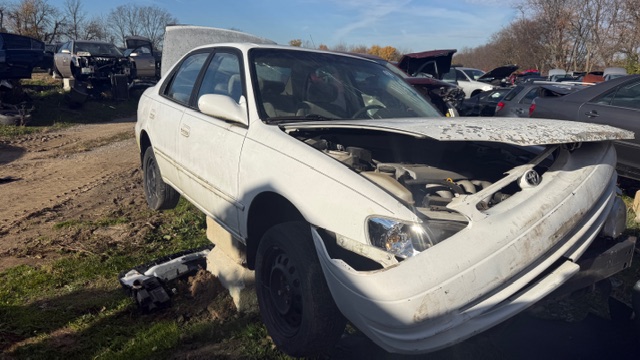 1998 Toyota Corolla's photo