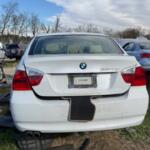 IMG_5243 (1) IMG_5243 (1)