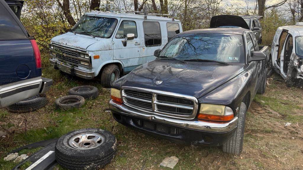 1999 Dodge Dakota Base's photo