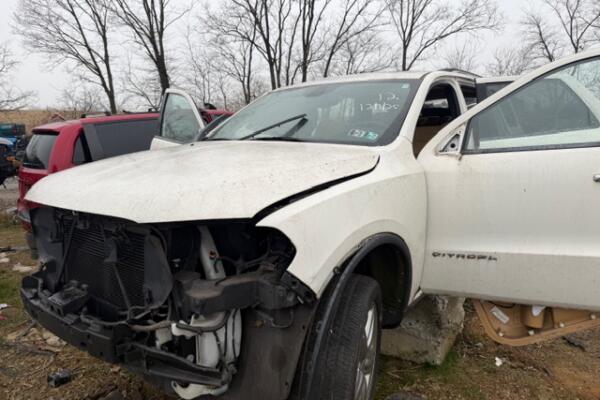 IMG_2550 (1) IMG_2550 (1)