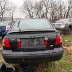 IMG_2560 (1) IMG_2560 (1)