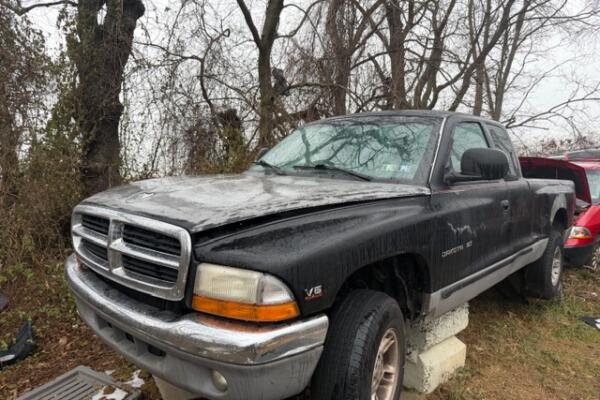 IMG_2561 (1) IMG_2561 (1)