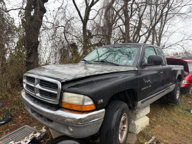 1999 Dodge Dakota Base's photo