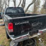 IMG_2564 (1) IMG_2564 (1)