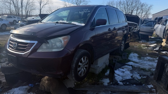 2008 Honda Odyssey EX-L's photo