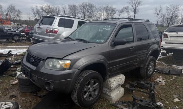 IMG_6258 (1) IMG_6258 (1)