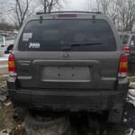 IMG_6261 (1) IMG_6261 (1)