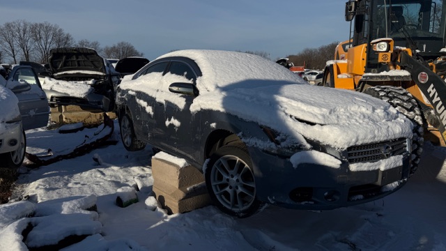 2010 Nissan Maxima's photo