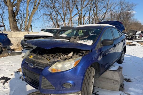 IMG_3988 (1) IMG_3988 (1)