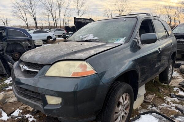 IMG_4149 (1) IMG_4149 (1)