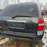 IMG_4152 (1) IMG_4152 (1)