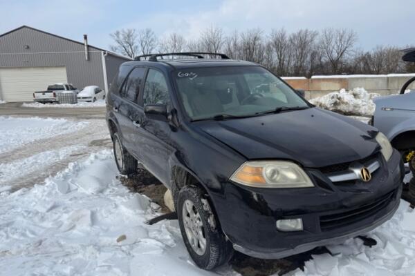 IMG_8647 (1) IMG_8647 (1)