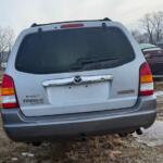 IMG_9469 (1) IMG_9469 (1)