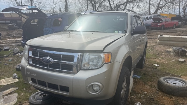 2010 Ford Escape XLT 4WD's photo