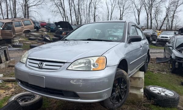 IMG_0299 (1) IMG_0299 (1)