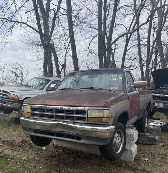 1993 Dodge Dakota's photo