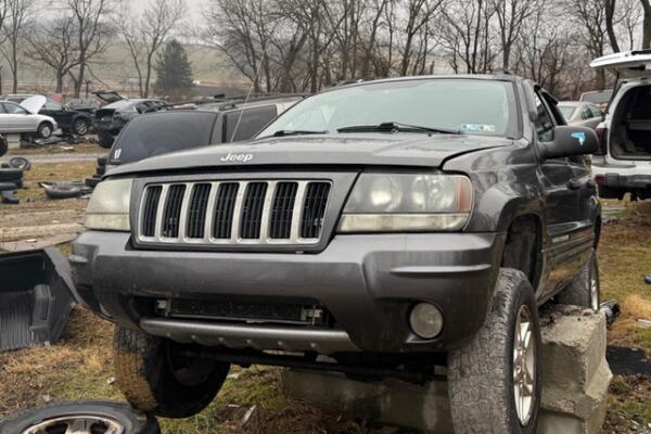 IMG_9709 (1) IMG_9709 (1)