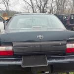 IMG_1060 IMG_1060
