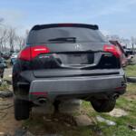 IMG_1142 (1) IMG_1142 (1)