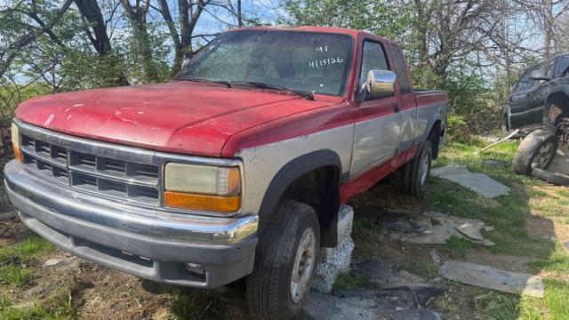 1991 Dodge Dakota's photo