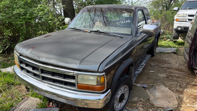 1993 Dodge Dakota's photo