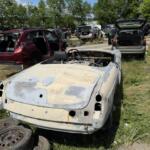 IMG_0006 IMG_0006