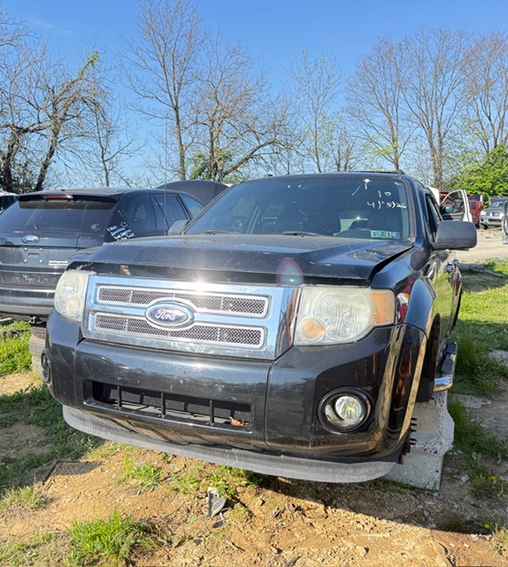 2010 Ford Escape Limited 4WD's photo