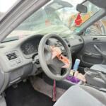 IMG_2767 IMG_2767