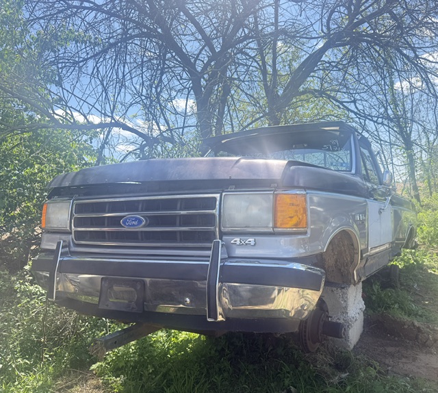 1989 Ford F-150's photo