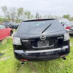 IMG_3041 (1) IMG_3041 (1)