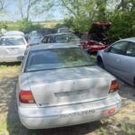 IMG_3405 (1)
