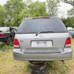 IMG_3541 IMG_3541