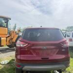 IMG_3688 (1)
