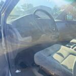 IMG_3799 (1)