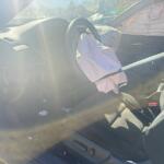 IMG_3803 IMG_3803