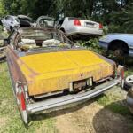 IMG_0131 (1) IMG_0131 (1)