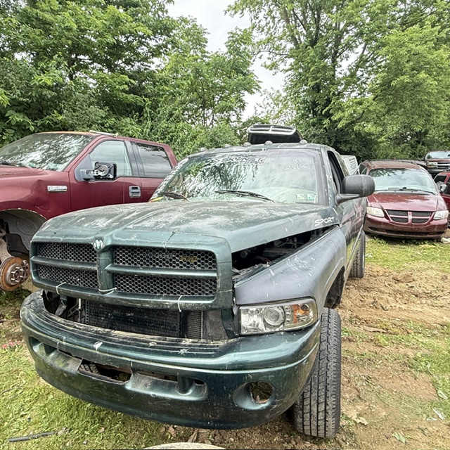 1999 Dodge Ram 1500's photo