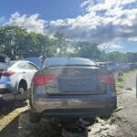 IMG_0409 (1) IMG_0409 (1)