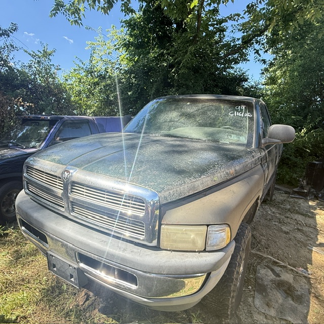 1999 Dodge Ram 1500 1500 4X4 REGULAR CAB SWB's photo