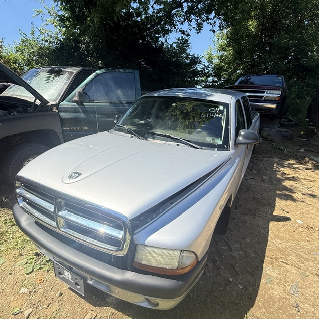 2004 Dodge Dakota's photo