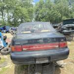 IMG_0645 (2)